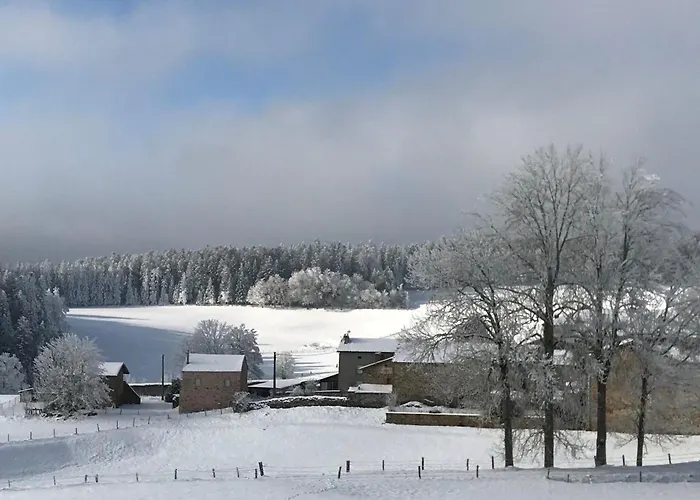 Holiday home Renove 2018, Au Coeur De La Nature, Activites Plein Air, 3 Chambres, Jardin Privatif, Proche Via Fluvia - Fr-1-582-261 *